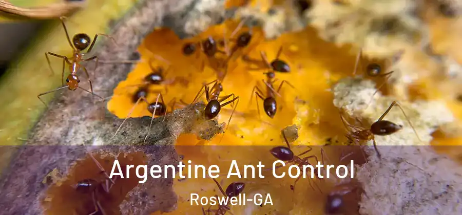  Argentine Ant Control Roswell-GA