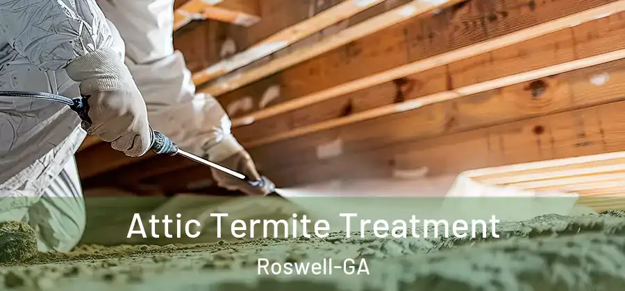  Attic Termite Treatment Roswell-GA