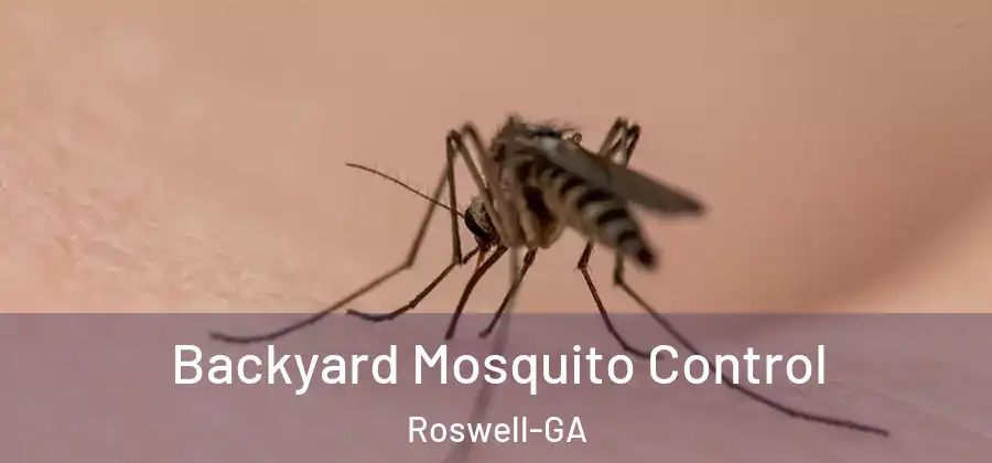  Backyard Mosquito Control Roswell-GA