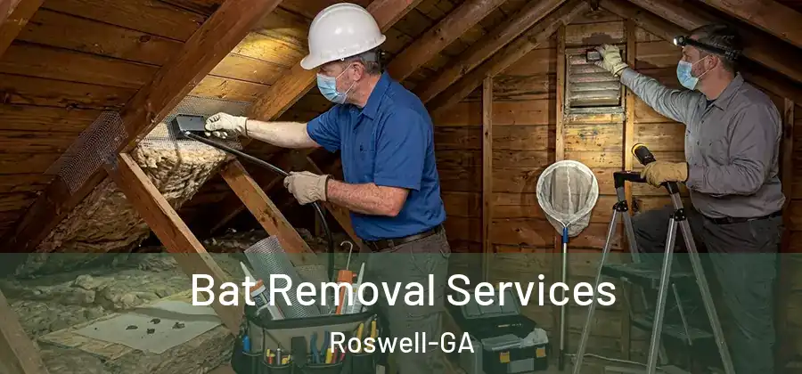 Bat Removal Services Roswell-GA