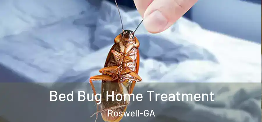 Bed Bug Home Treatment Roswell-GA