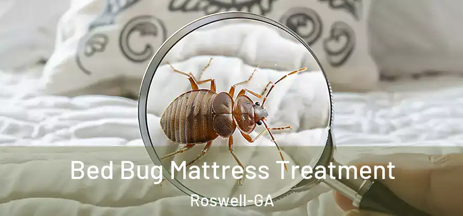  Bed Bug Mattress Treatment Roswell-GA