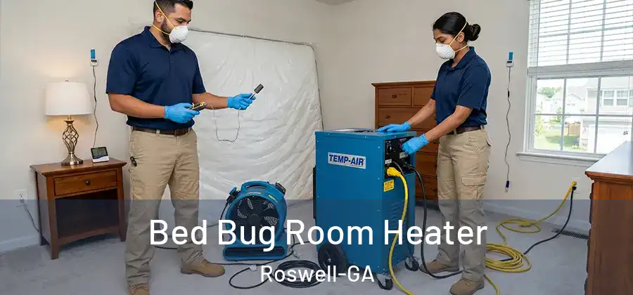 Bed Bug Room Heater Roswell-GA