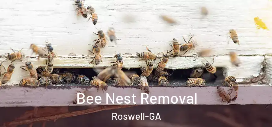 Bee Nest Removal Roswell-GA