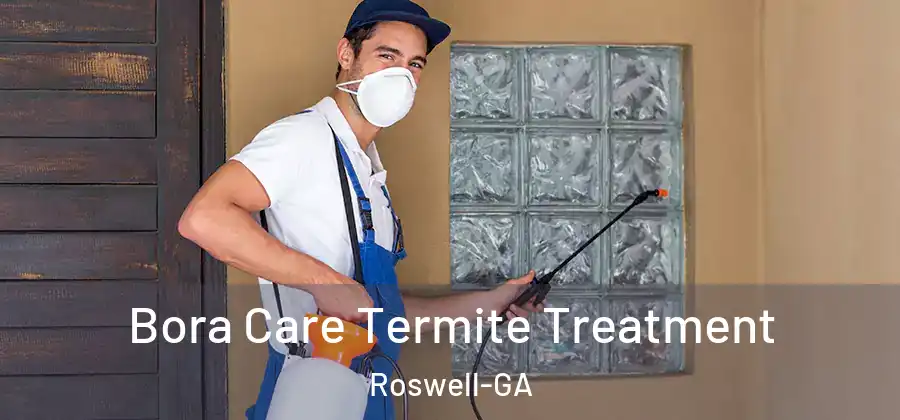 Bora Care Termite Treatment Roswell-GA