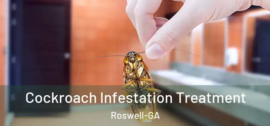 Cockroach Infestation Treatment Roswell-GA