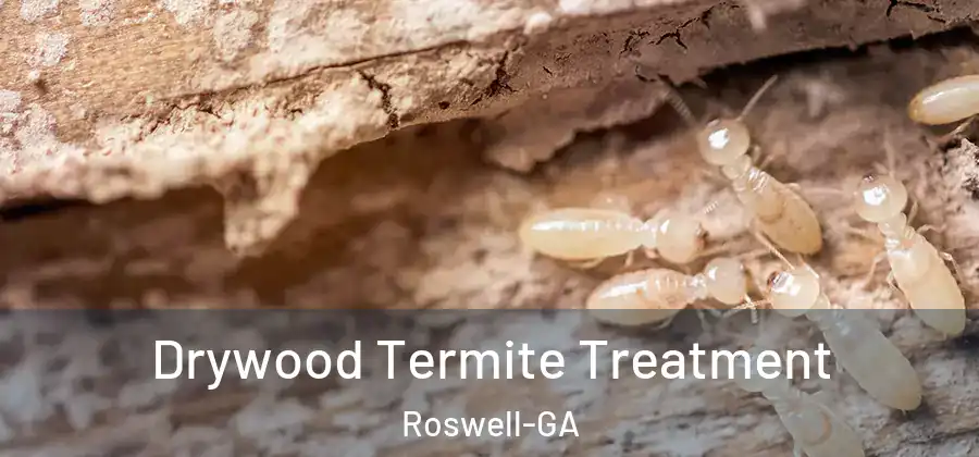 Drywood Termite Treatment Roswell-GA