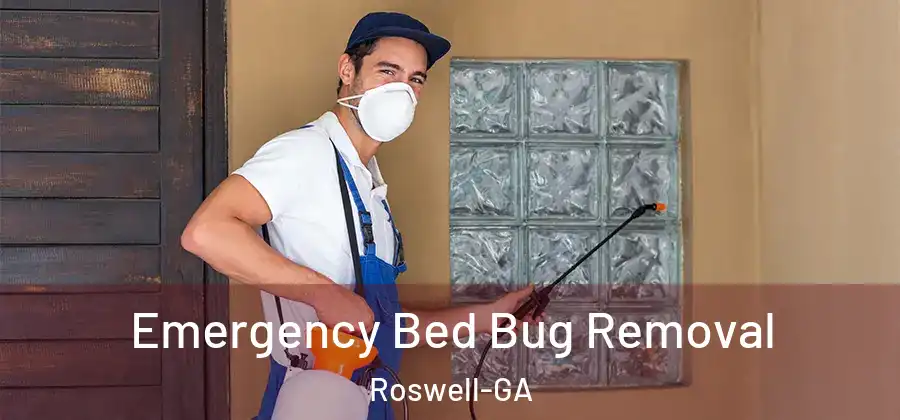 Emergency Bed Bug Removal Roswell-GA