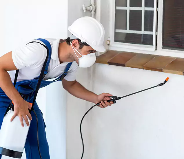 Your Professional Cockroach Exterminator in Roswell, GA