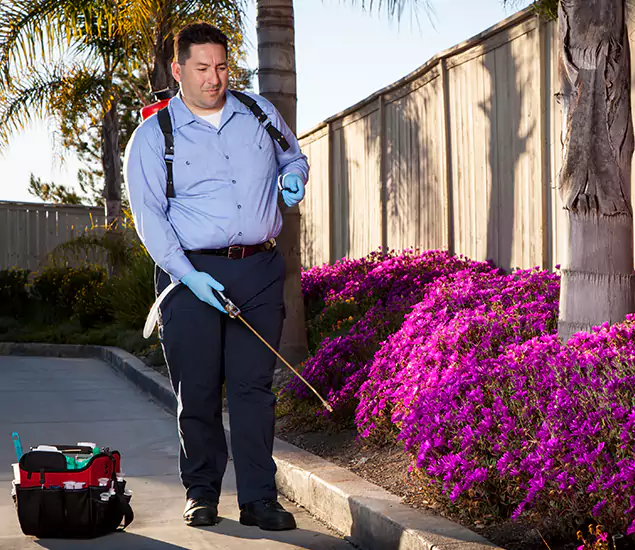 About Our Eco Safe Pest Control Experts in Roswell, GA