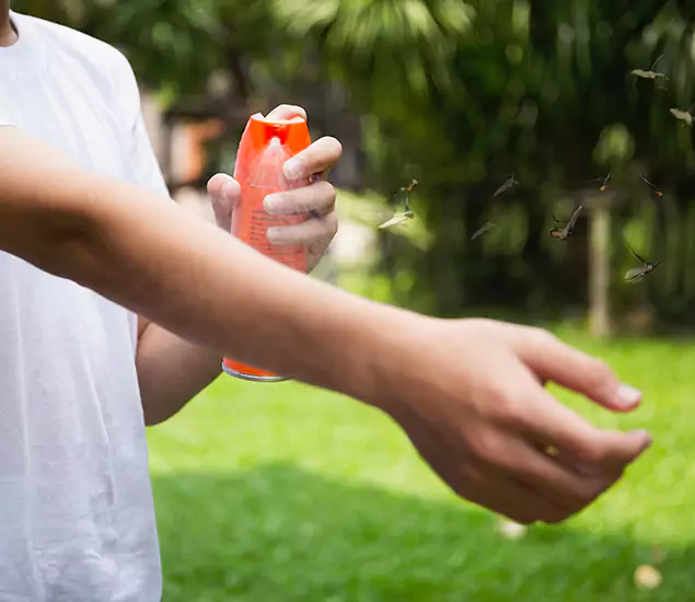 Your Best Indoor Bug Killer Team in Roswell, GA