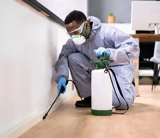 Leading Industrial Pest Control Experts Serving Roswell, GA