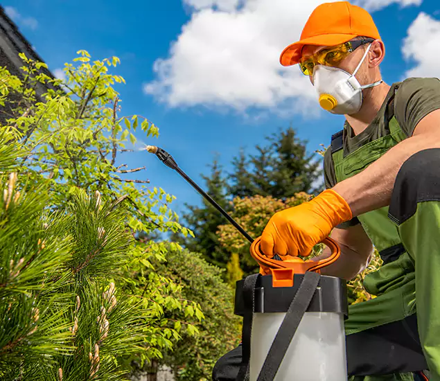 Your Best Bug Spray for Home Team in Roswell, GA