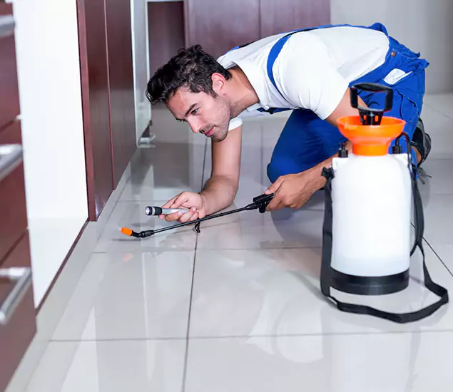 Reliable Professional Mouse Removal: Your Best Mouse Control Company in Roswell, GA