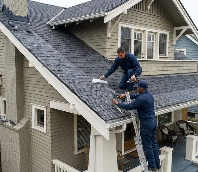 Your Pigeon Control Experts in Roswell, GA