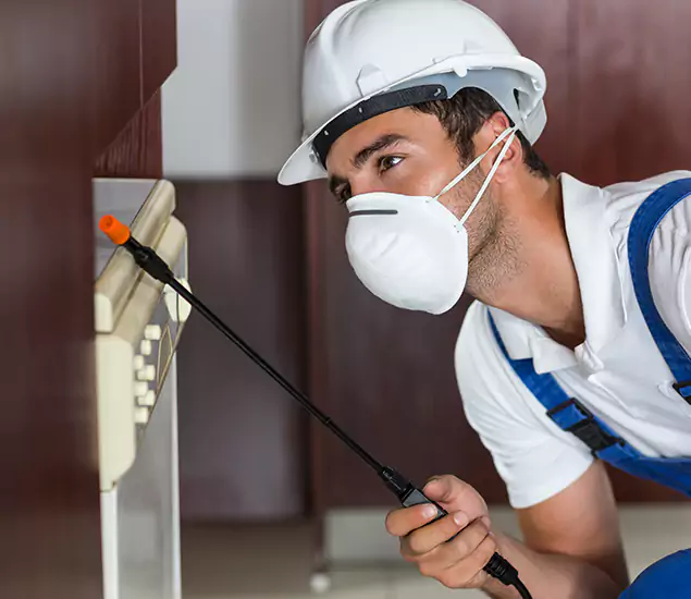 Expert Cockroach Exterminator: Your Roach Control Services in Roswell, GA