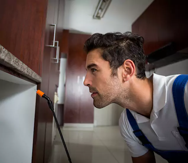 Expert Rodent in Attic Removal: Your Proven Pest Specialists in Roswell, GA