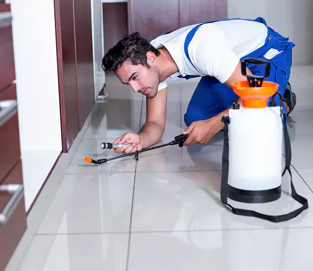 Advanced Slab Termite Treatment Experts You Can Trust&nbsp;in Roswell, GA