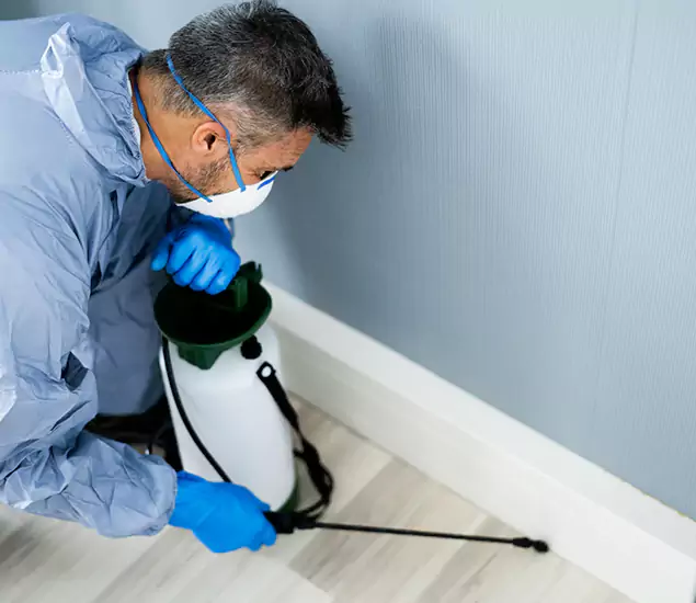 Reliable Termite Cost Experts in Roswell, GA
