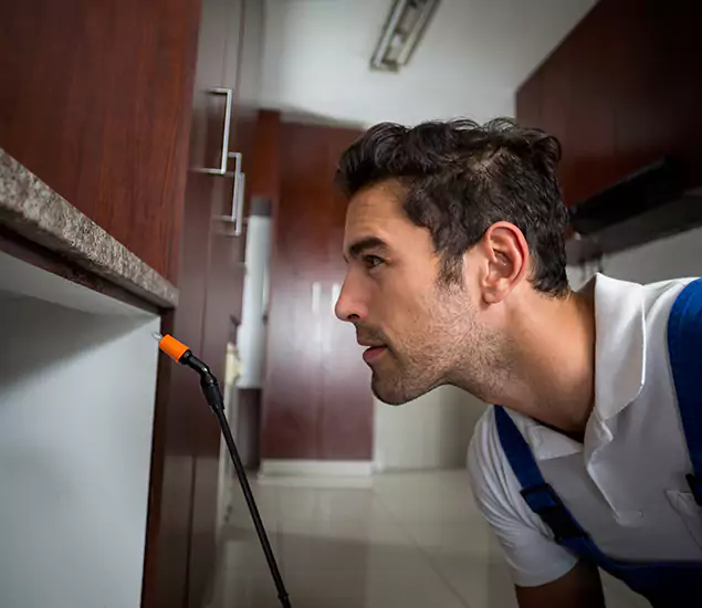 Termite Inspection Cost Experts You Can Trust in Roswell, GA