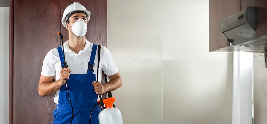 Per Room Bed Bug Cost in Roswell