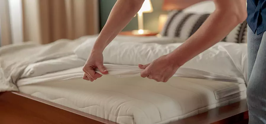 Bed Bug Extermination Services in Roswell