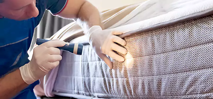 Residential Bed Bug Treatment Cost in Roswell