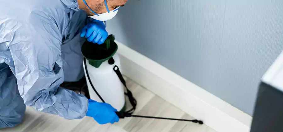 Fumigate Apartment Roaches in Roswell