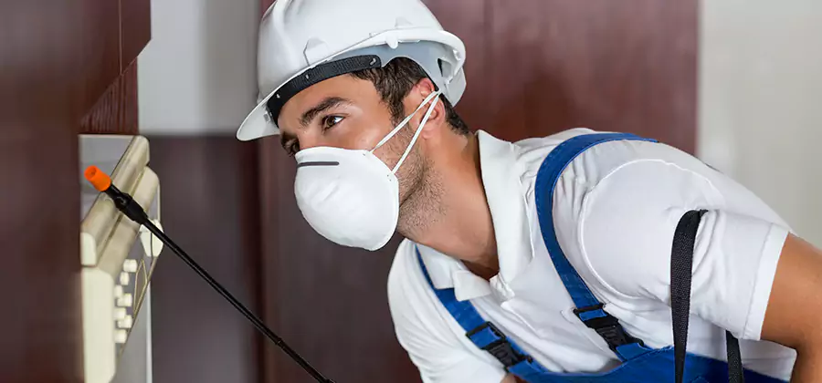 Injection Foam Treatment for Drywood Termites in Roswell