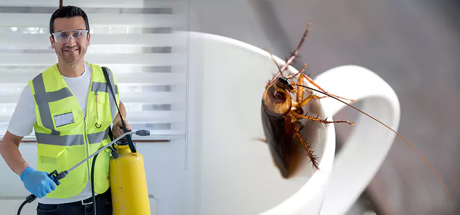 German Roach Infestation Treatment Roswell