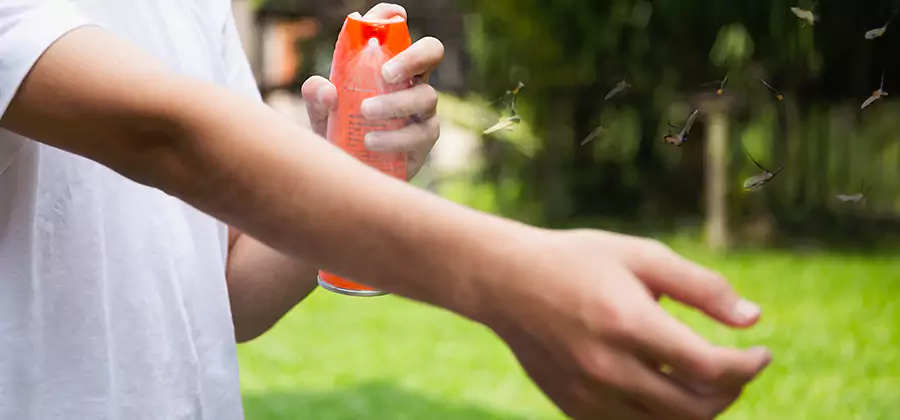 Mosquito and Tick Control Services in Roswell