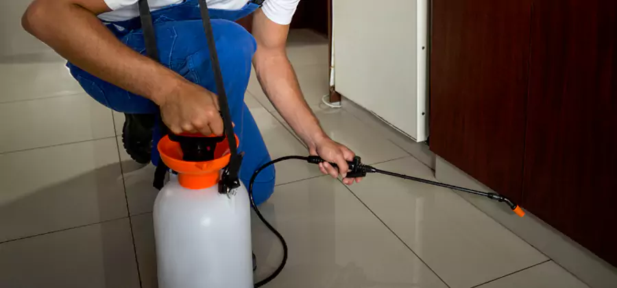 One Time Termite Control in Roswell