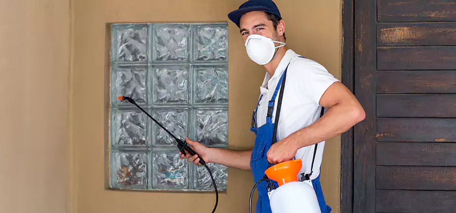 Physical Termite Barrier Installation in Roswell