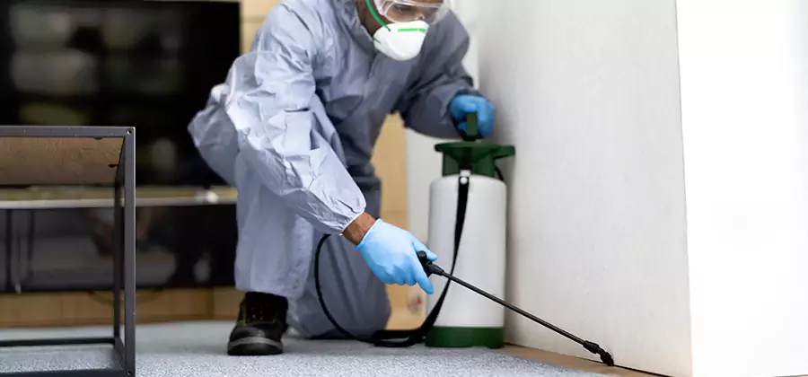Wood Protection Termite Treatment in Roswell