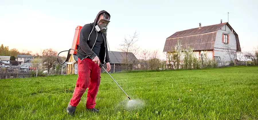 Flea and Tick Pest Control in Roswell