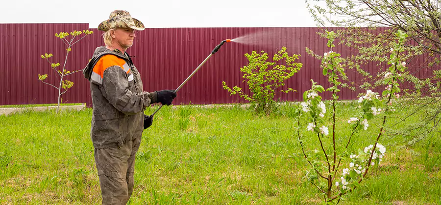 Flea and Tick Spray for Yard in Roswell