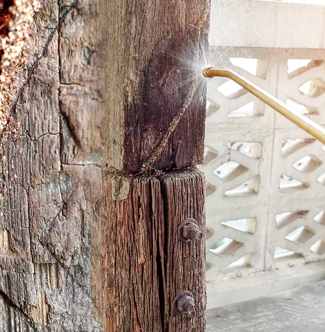 Why Choose Roswell Pest Control Pros for Attic Termite Treatment in Roswell, GA?