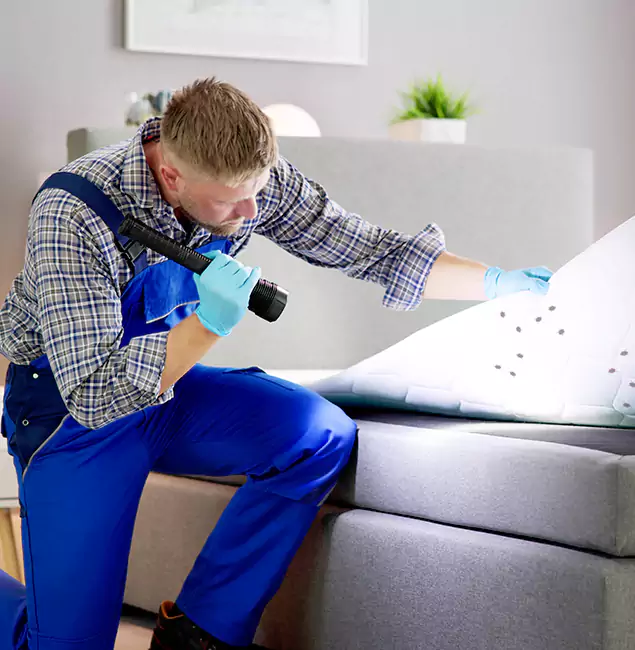 Why Choose Roswell Pest Control Pros for Bed Bug Exterminator Cost in Roswell, GA?