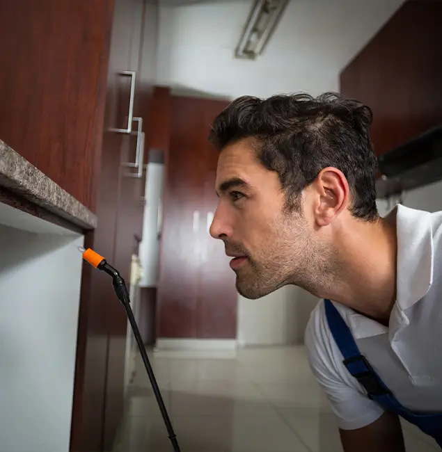 Why Choose Roswell Pest Control Pros for Bed Bug Removal Cost in Roswell, GA?
