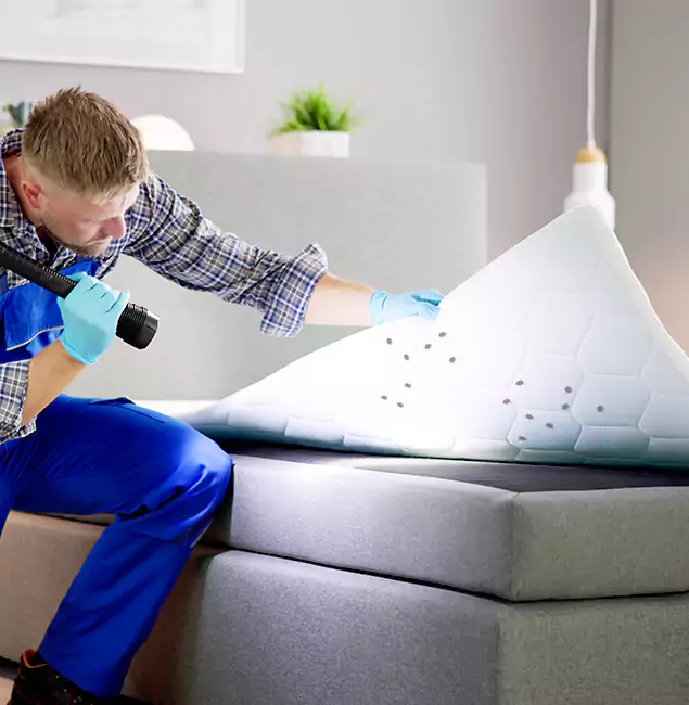 Why Choose Roswell Pest Control Pros in Roswell, GA?