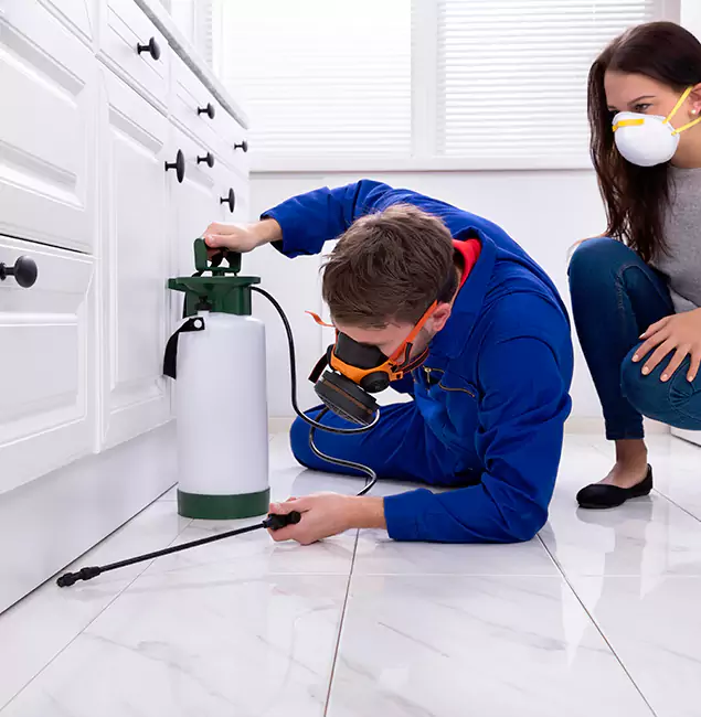 Why Choose Roswell Pest Control Pros in Roswell, GA?