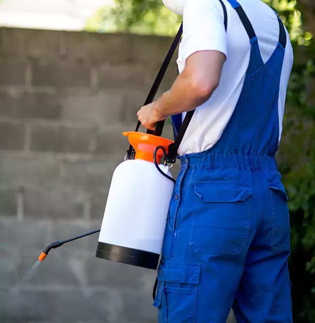 Why Roswell Homeowners Rely on Roswell Pest Control Pros for Mosquito Control?
