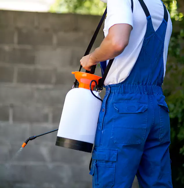 Why Roswell Pest Control Pros Delivers the Best Mosquito Control in Roswell, GA?