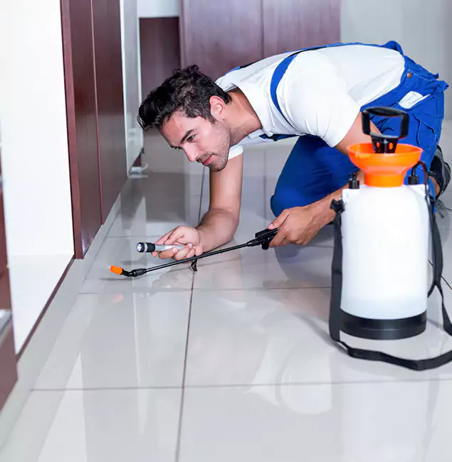 Why Roswell Pest Control Pros Is the Proven Choice in Roswell, GA?