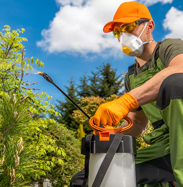 Why Choose Roswell Pest Control Pros for Outdoor Pest Control in Roswell, GA?