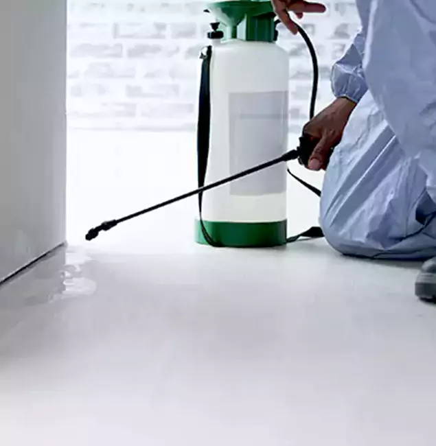 Why Choose Roswell Pest Control Pros for Rat Exterminator in Roswell, GA?