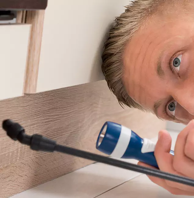 Why Choose Roswell Pest Control Pros for Rodent Exterminator in Roswell, GA?