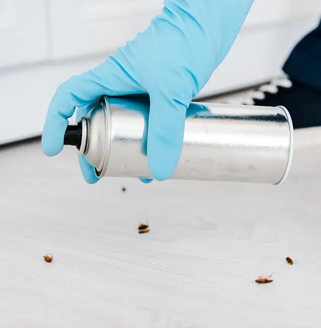 Why Choose Roswell Pest Control Pros for Safe Bed Bug Treatment in Roswell, GA?