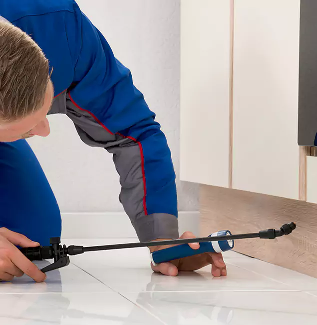 Why Roswell Residents Choose Roswell Pest Control Pros to Get Rid of Sugar Ants?
