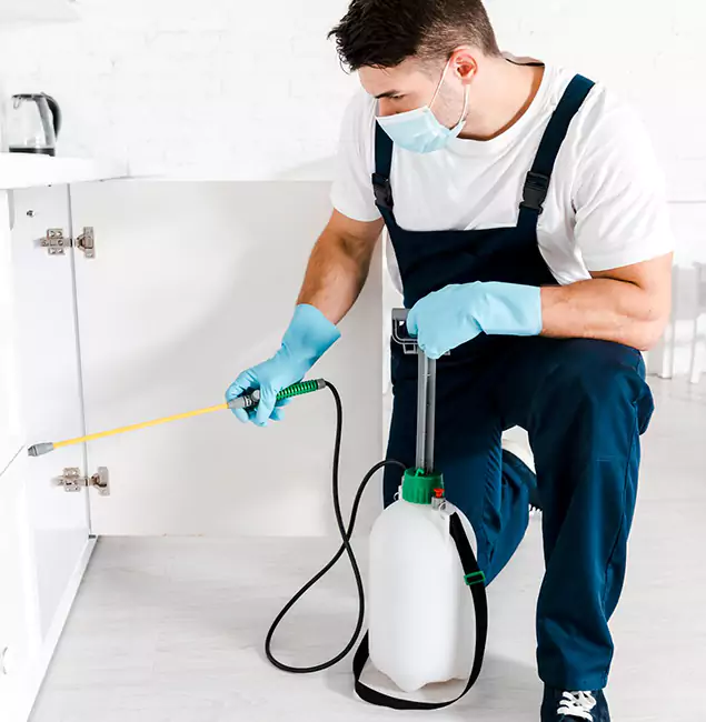 Why Choose Roswell Pest Control Pros for Termite Spot Treatment in Roswell, GA?